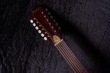 【new】Framus / Hootenanny 12-String VSN #FRVC0348-25 2.080kg【TONIQ Yokohama】