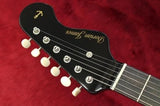 【new】Dorian James Guitar The Jay Bird #21