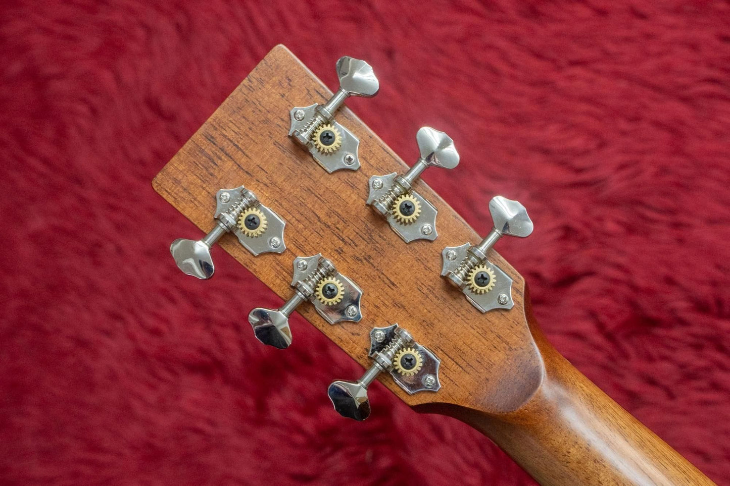 【new】NAGI GUITARS / cherry Ivory 【TONIQ Yokohama】
