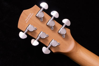 【new】HEX Guitars / H300 SG/GD