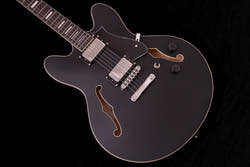 【new】HEX Guitars / Q300 S/BK