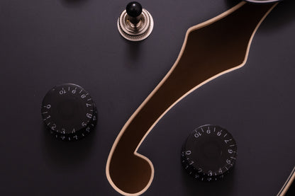 【new】HEX Guitars / Q300 S/BK