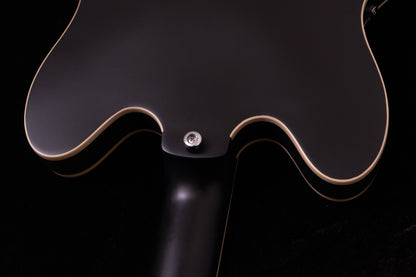 【new】HEX Guitars / Q300 S/BK