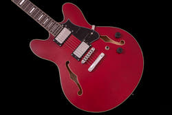 【new】HEX Guitars / Q300 S/TR