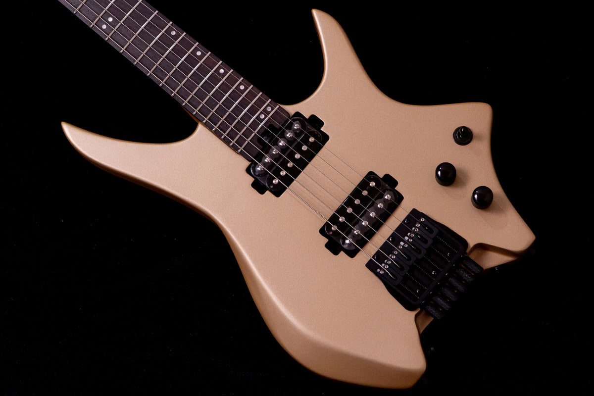 【new】HEX Guitars / N400 S/SS