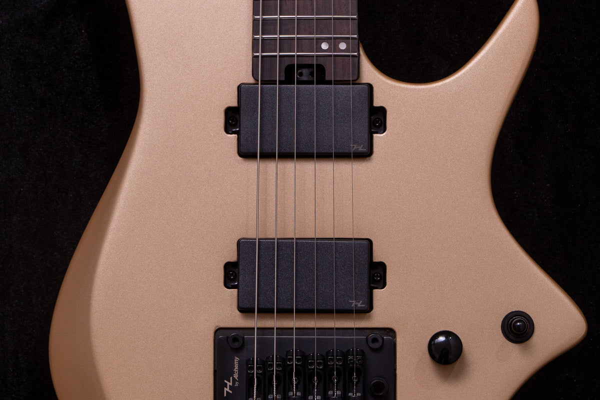 【new】HEX Guitars / N500 S/SS