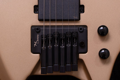 【new】HEX Guitars / N500 S/SS