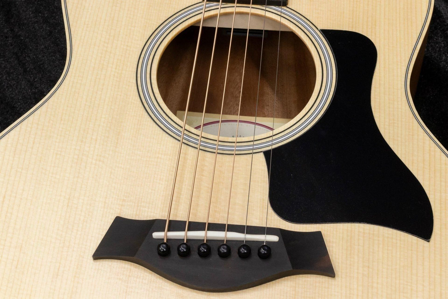 【new】Taylor / GS Mini Sapele #2210033104 1.65kg【TONIQ Yokohama】