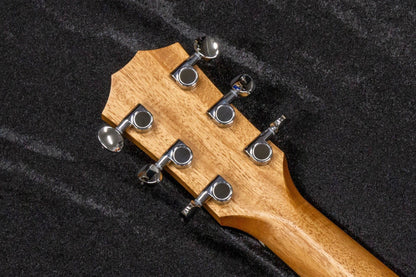 【new】Taylor / GS Mini Sapele #2210033104 1.65kg【TONIQ Yokohama】