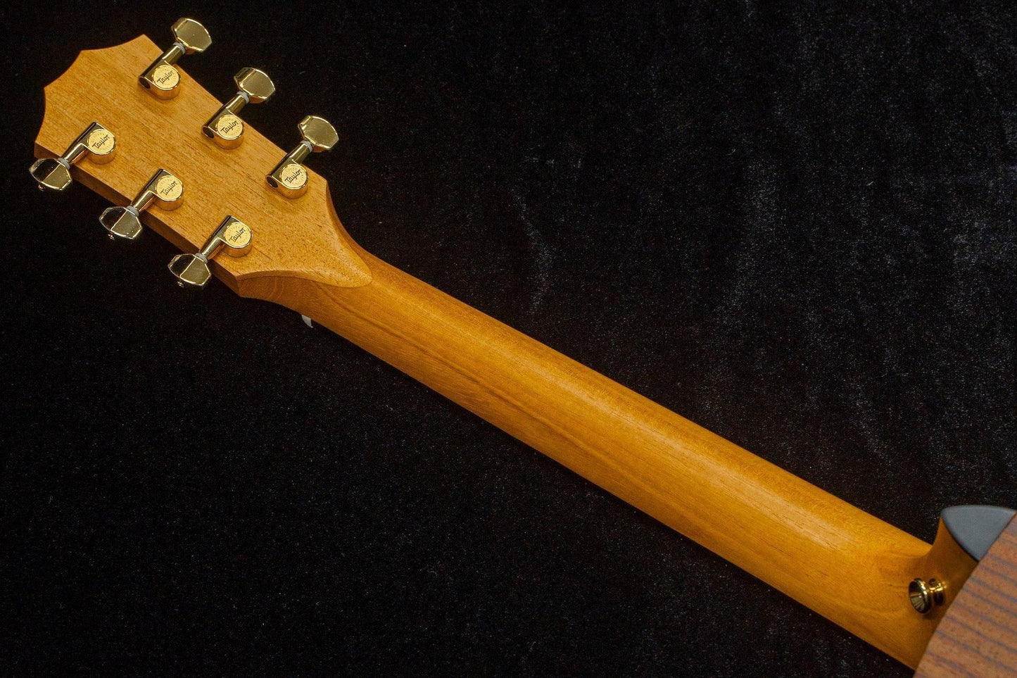 【new】Taylor / GS Mini-e Rosewood LTD #2205164194 1.7kg【TONIQ Yokohama】