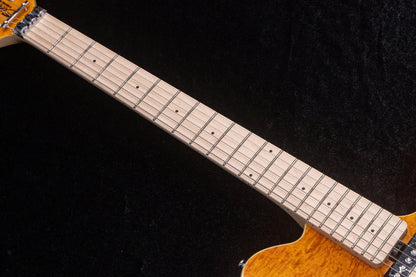 【new】Sterling by MusicMan / AXIS AX40-TGO-M #SG67787 3.44kg【TONIQ Yokohama】