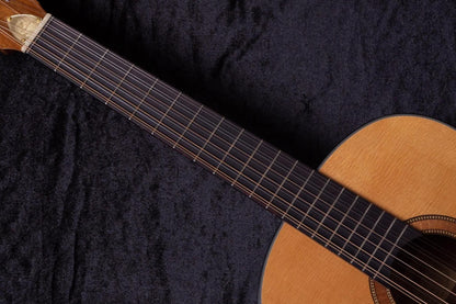 【new】Framus / Hootenanny 12-String VNN #FRVC0200-25 2.07kg【TONIQ Yokohama】