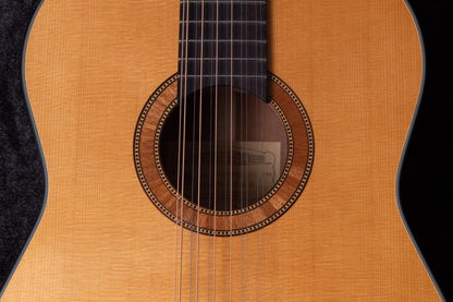 【new】Framus / Hootenanny 12-String VNN #FRVC0200-25 2.07kg【TONIQ Yokohama】