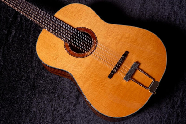 【new】Framus / Hootenanny 12-String VNN #FRVC0247-25 2.015kg【TONIQ Yokohama】