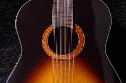 【new】Framus / Hootenanny 12-String VSN #FRVC0348-25 2.080kg【TONIQ Yokohama】