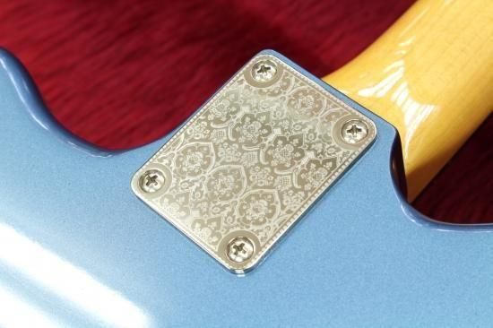 【new】Dorian James Guitar The Jay Bird #21