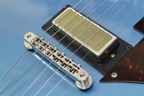 【new】Dorian James Guitar The Jay Bird #21