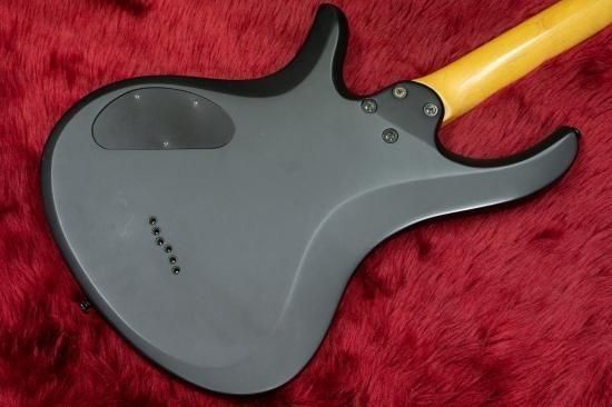 【used】Schecter / DAMIEN RIOT-6 #W11080109 3.51kg【TONIQ Yokohama】