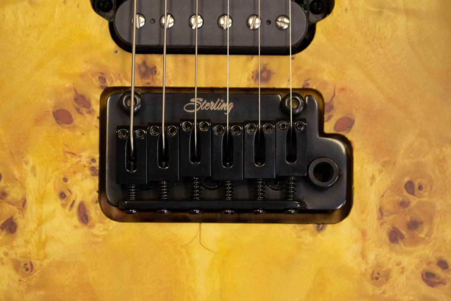【outlet】Sterling by Musicman / Richardson 6 NPBB #SG46263 3.52kg【TONIQ Yokohama】