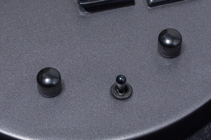 【new】HEX Guitars / W300 Metallic Gray