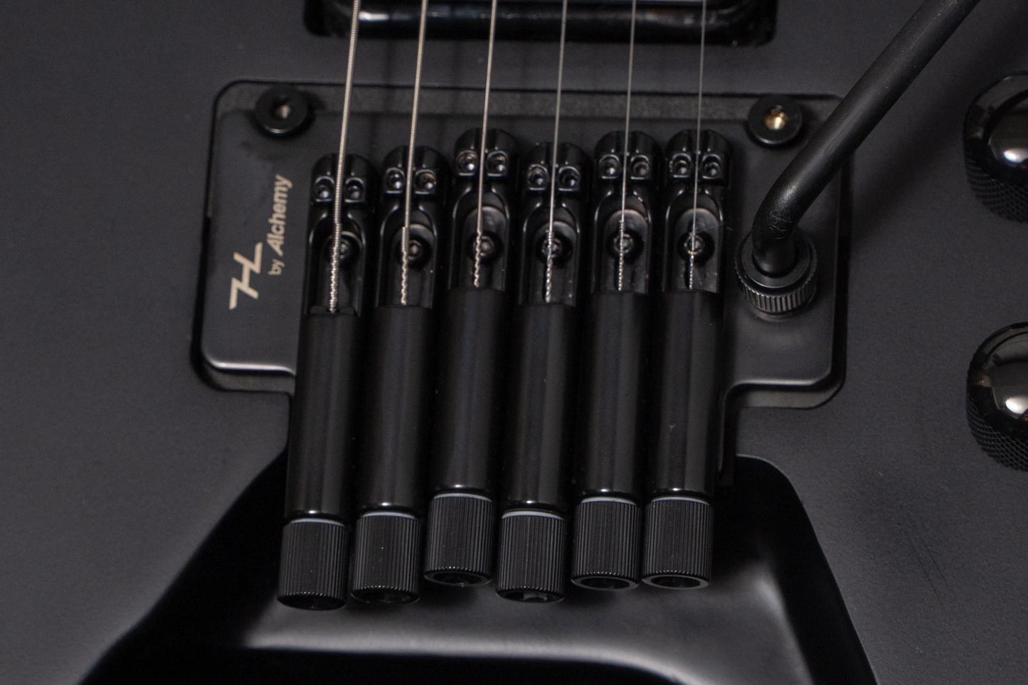 【new】HEX Guitars / N500P Black