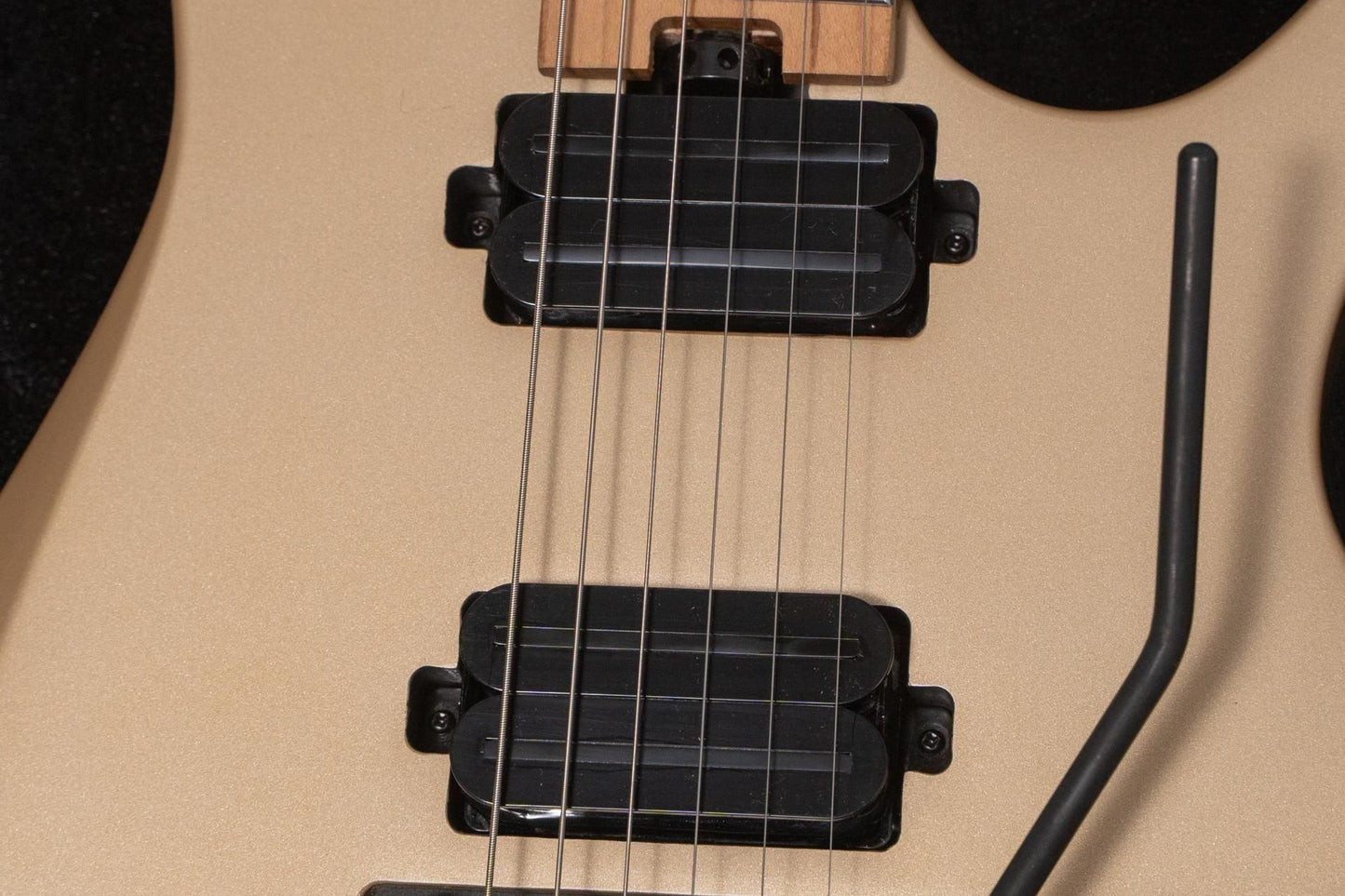 【new】HEX Guitars / N500P S/SS