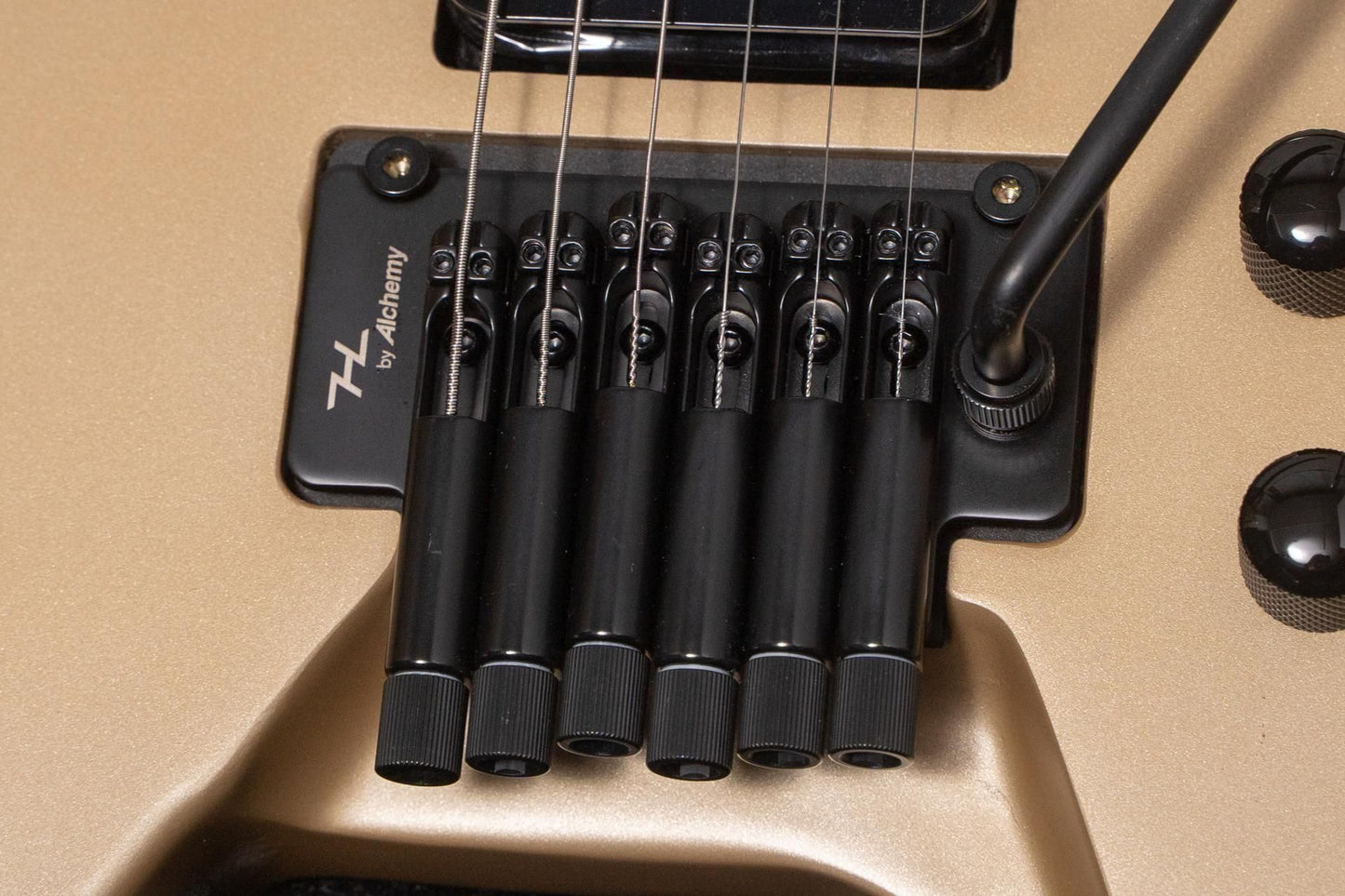 【new】HEX Guitars / N500P S/SS