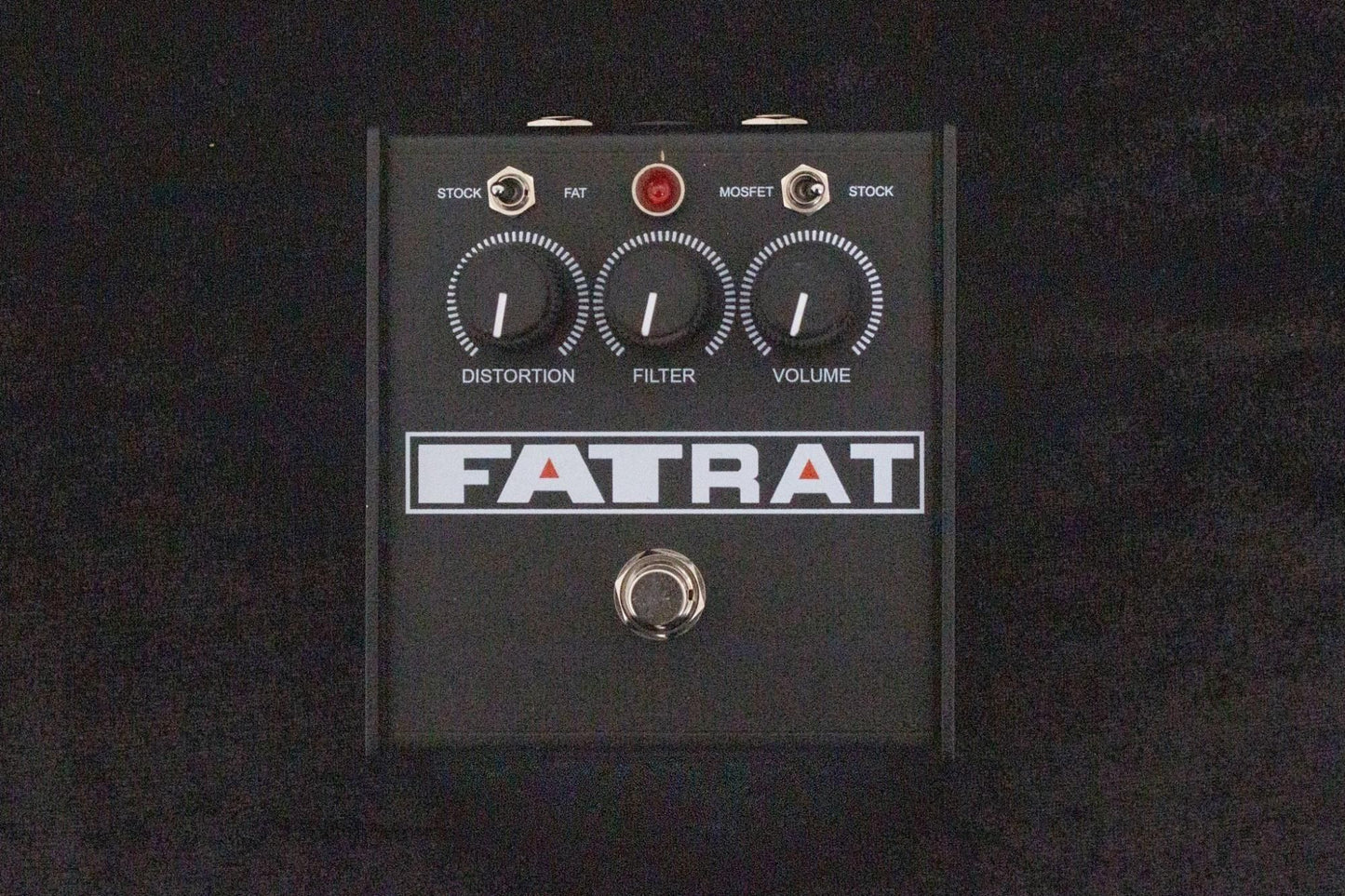 【new】PROCO / FAT RAT【TONIQ Yokohama】