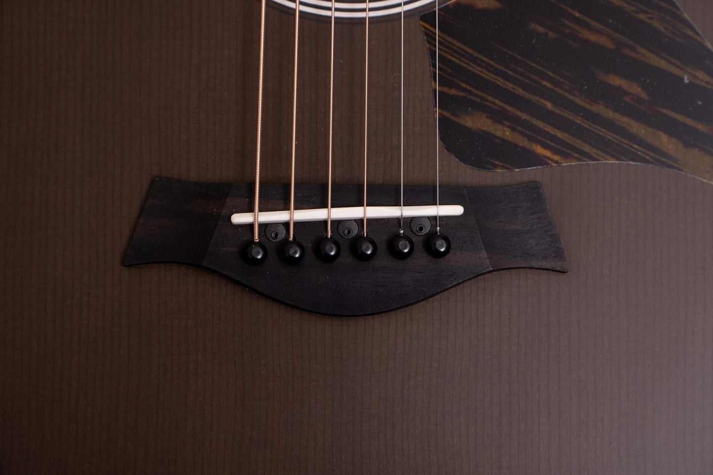 【new】Taylor / GS-Mini-e Special Edition Trans Black #2209194210 1.685kg【TONIQ Yokohama】