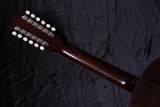 【new】Framus / Hootenanny 12-String VSN #FRVC0355-25 2.06kg【TONIQ Yokohama】
