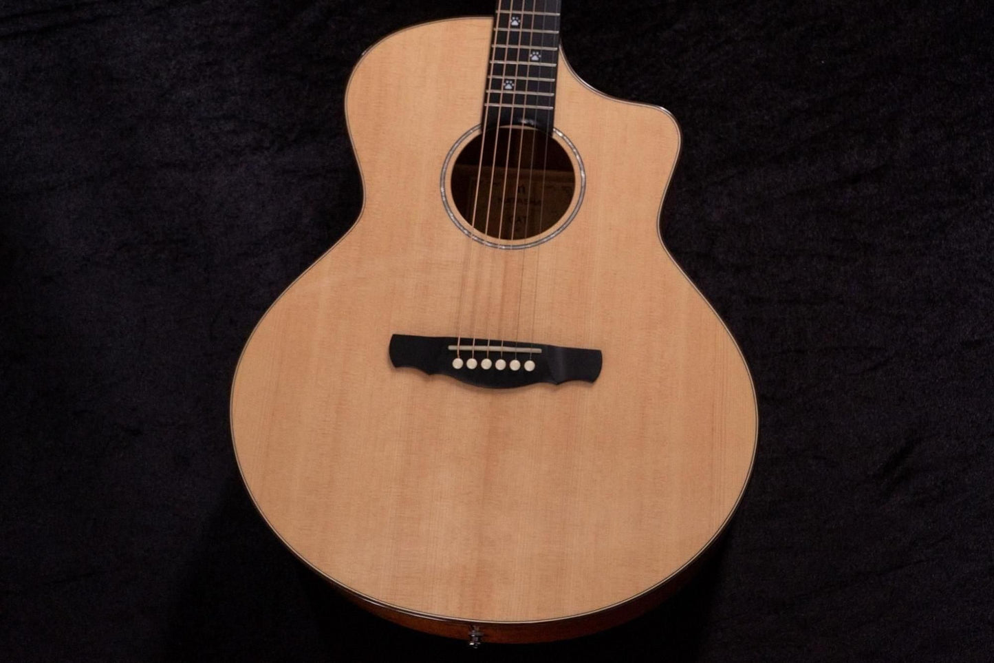 【new】NATASHA / Cat  #24010708 2.07kg【TONIQ Yokohama】