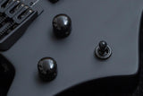 【new】HEX Guitars / N400 Black