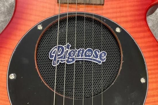 【special price】PIGNOSE / PGG-200 FM SR【GIB Hyogo】