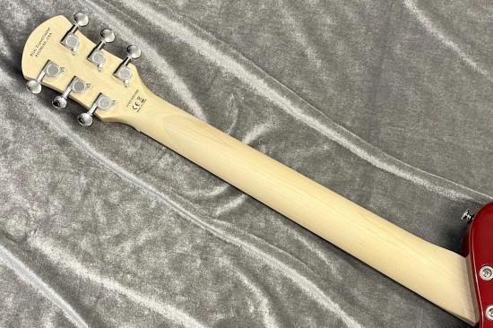 【special price】PIGNOSE / PGG-200 FM SR【GIB Hyogo】
