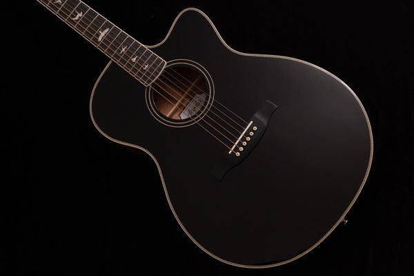 【new】PRS(Paul Reed Smith) / SE A20E BX 1.92kg #F26582【TONIQ Yokohama】