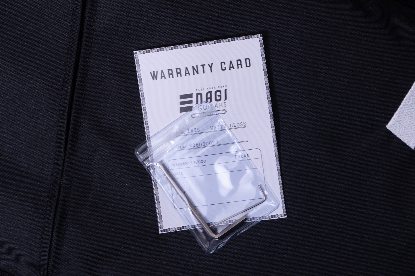 【new】NAGI GUITARS / IRIS shiro 2.71kg #R26030077【TONIQ Yokohama】【price included SHIPPING & IMPORT TAX & VAT】