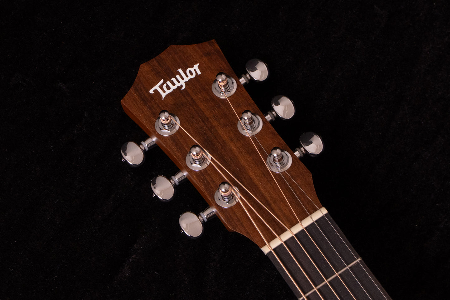 【new】Taylor / BT1e.Walnut 1.4kg #2206131243【TONIQ Yokohama】【price included SHIPPING & IMPORT TAX & VAT】