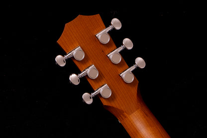【new】Taylor / BT1e.Walnut 1.4kg #2206131243【TONIQ Yokohama】【price included SHIPPING & IMPORT TAX & VAT】
