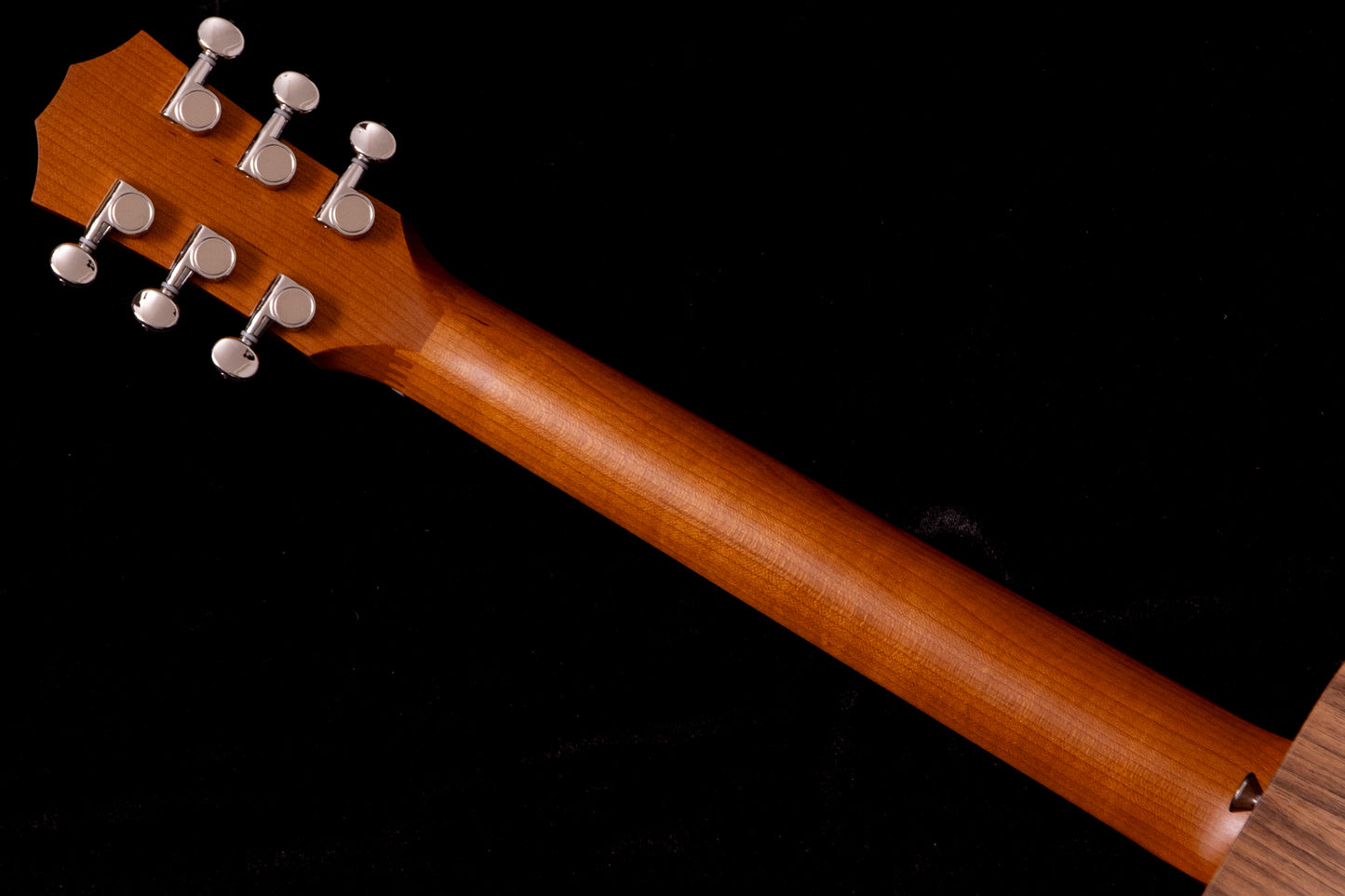 【new】Taylor / BT1e.Walnut 1.4kg #2206131243【TONIQ Yokohama】【price included SHIPPING & IMPORT TAX & VAT】