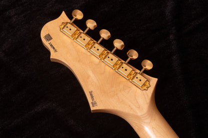 【used】Freedom Custom Guitar Research / Hydra Classic 22F-2Point  2022 3.565kg #22039071【TONIQ Yokohama】【price included SHIPPING & IMPORT TAX & VAT】
