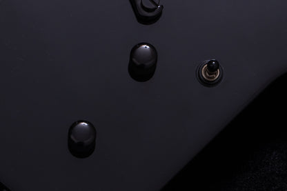 【used】ESP / Custom MX-250 James Hetfield Black 1995 3.49kg #28075286【TONIQ横浜】【price included SHIPPING & IMPORT TAX & VAT】