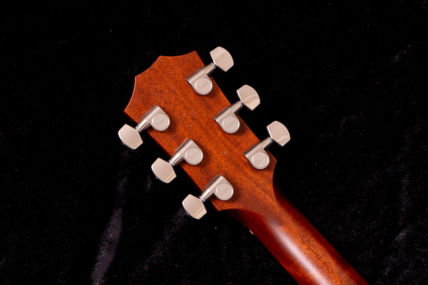 【used】Taylor / T5z 2019 2.295 #1106199156【TONIQ横浜】