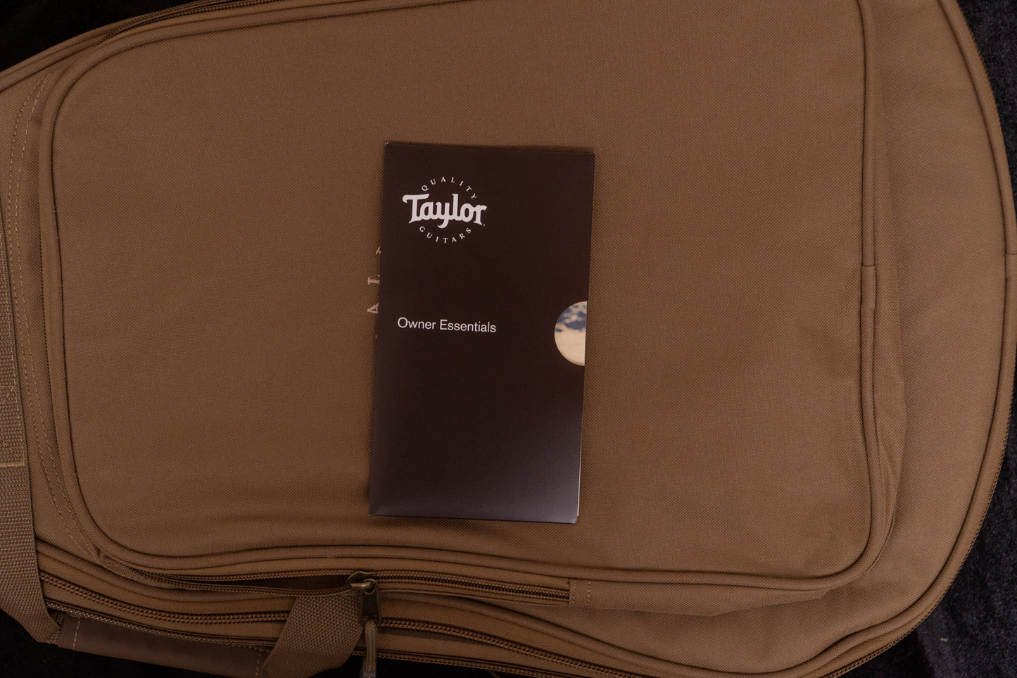 【new】Taylor / GS mini-e Special Edition Paisley Burst 1.705㎏ #2201315351【TONIQ横浜】