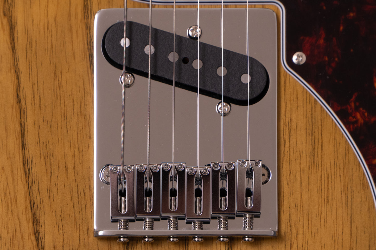 【new】FGN / EILT-ASH-HS-RM/VNT/01 #H250399 3.21kg【TONIQ横浜】
