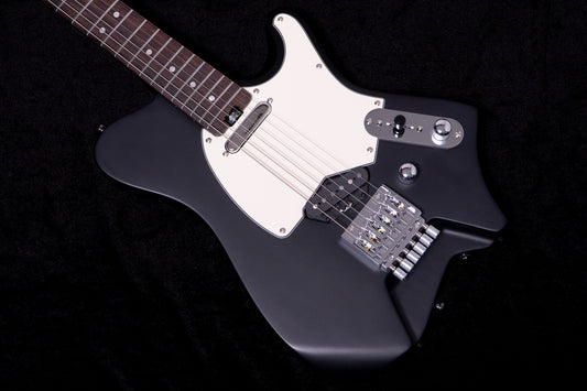 【new】HEX Guitars / NT100R S/BK