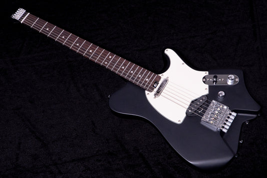 【new】HEX Guitars / NT100R S/BK