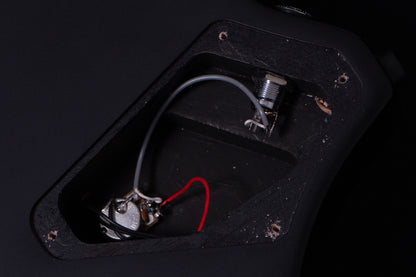 【new】HEX Guitars / NT100R S/BK