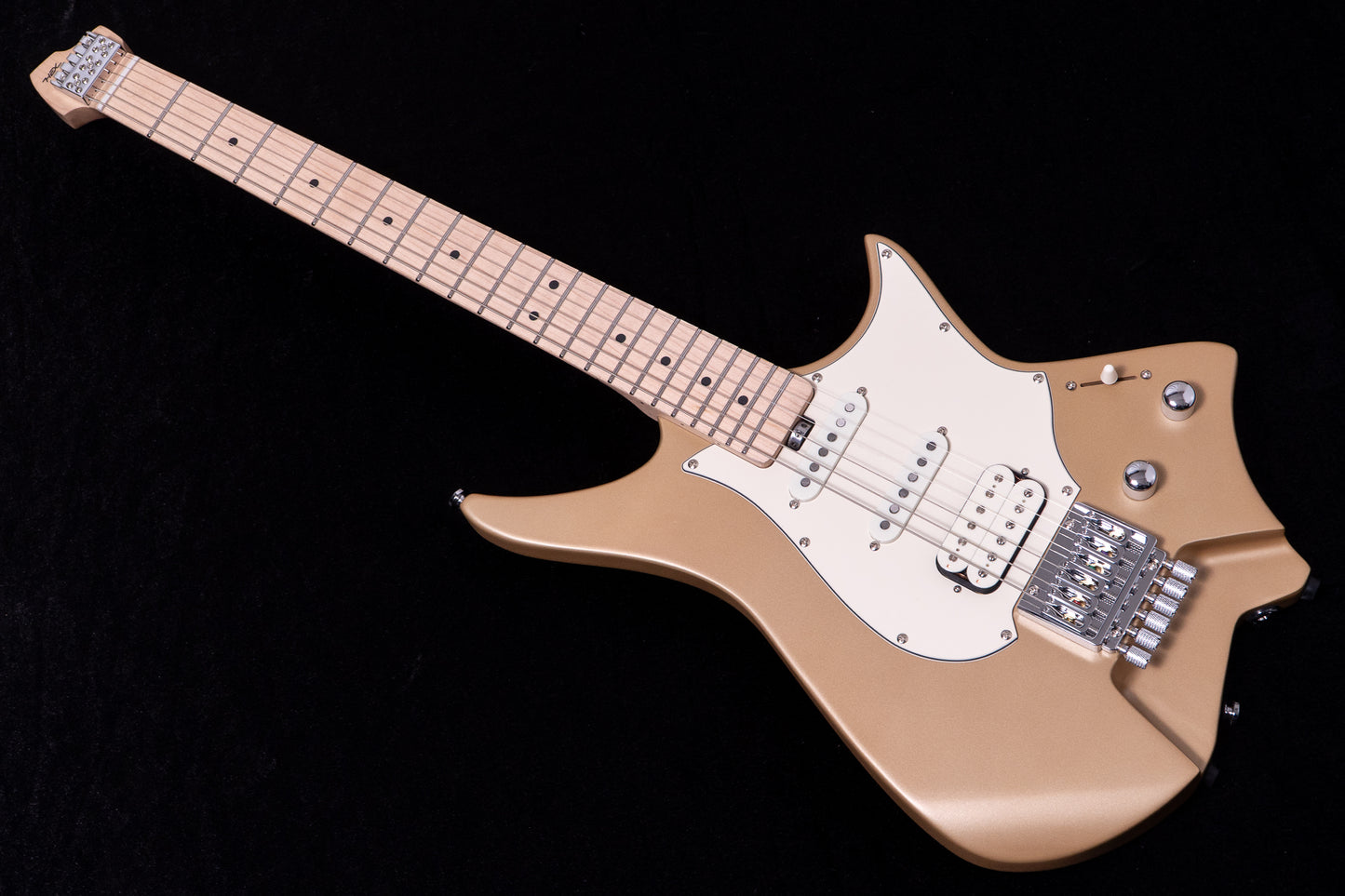 【new】HEX Guitars / NS100M S/SS