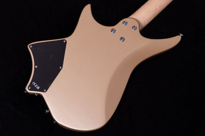 【new】HEX Guitars / NS100M S/SS