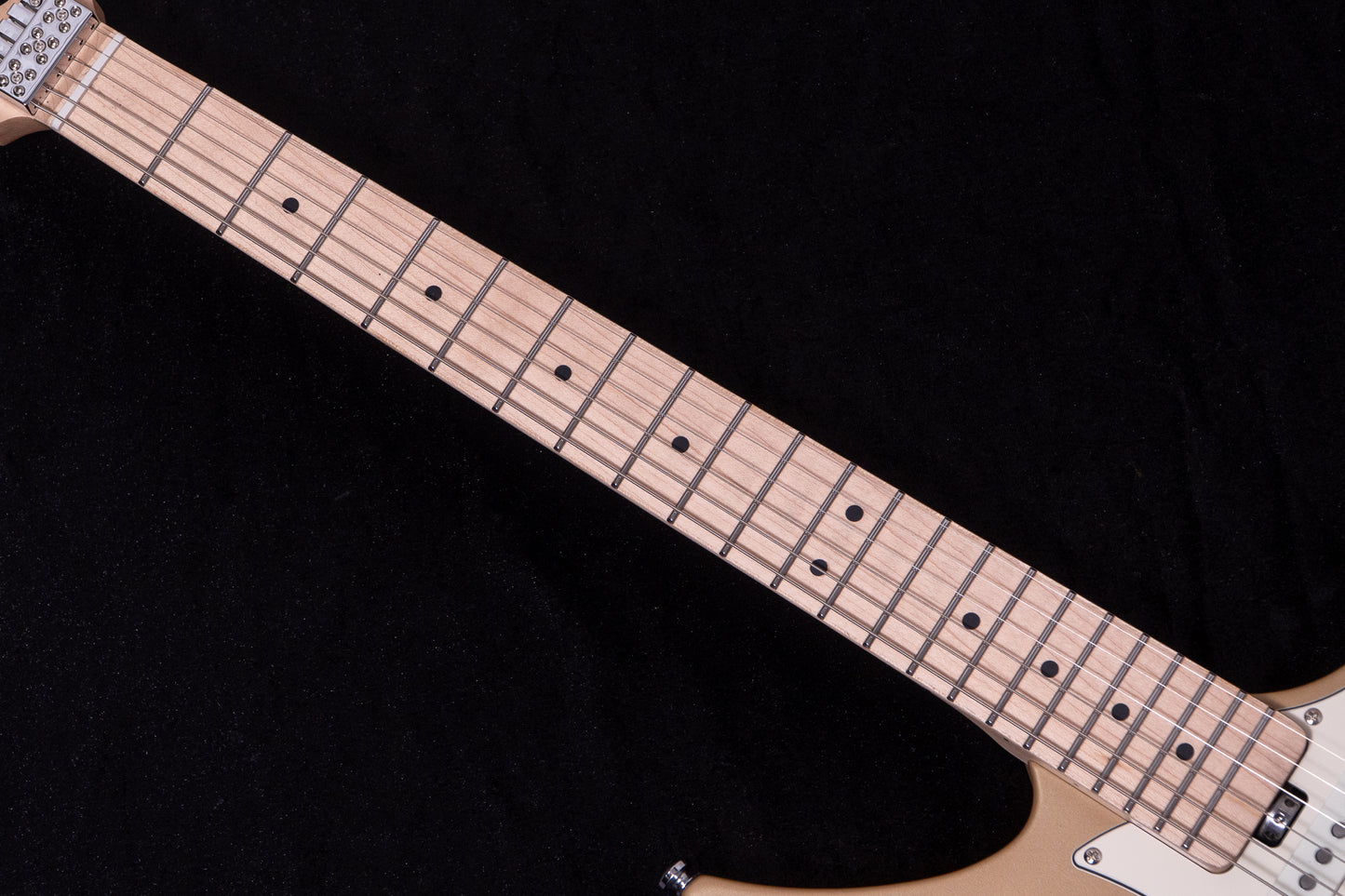 【new】HEX Guitars / NS100M S/SS